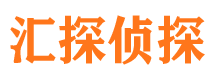 鱼峰市侦探公司